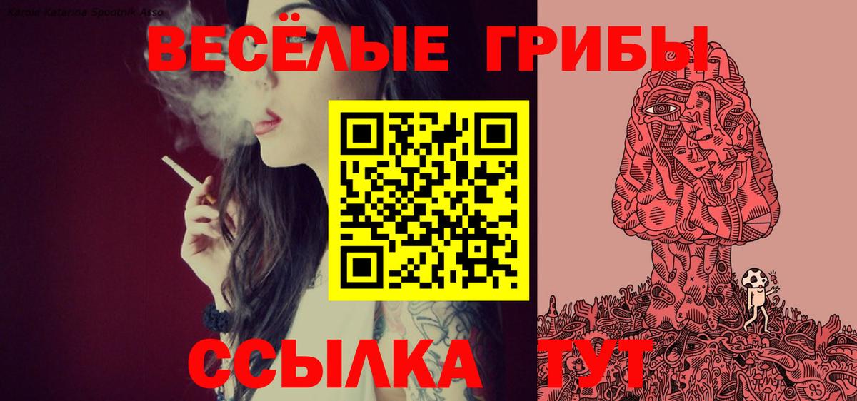 Псилоцибиновые грибы прущие грибы  Вход с VPN  где продают   Щёлково 
